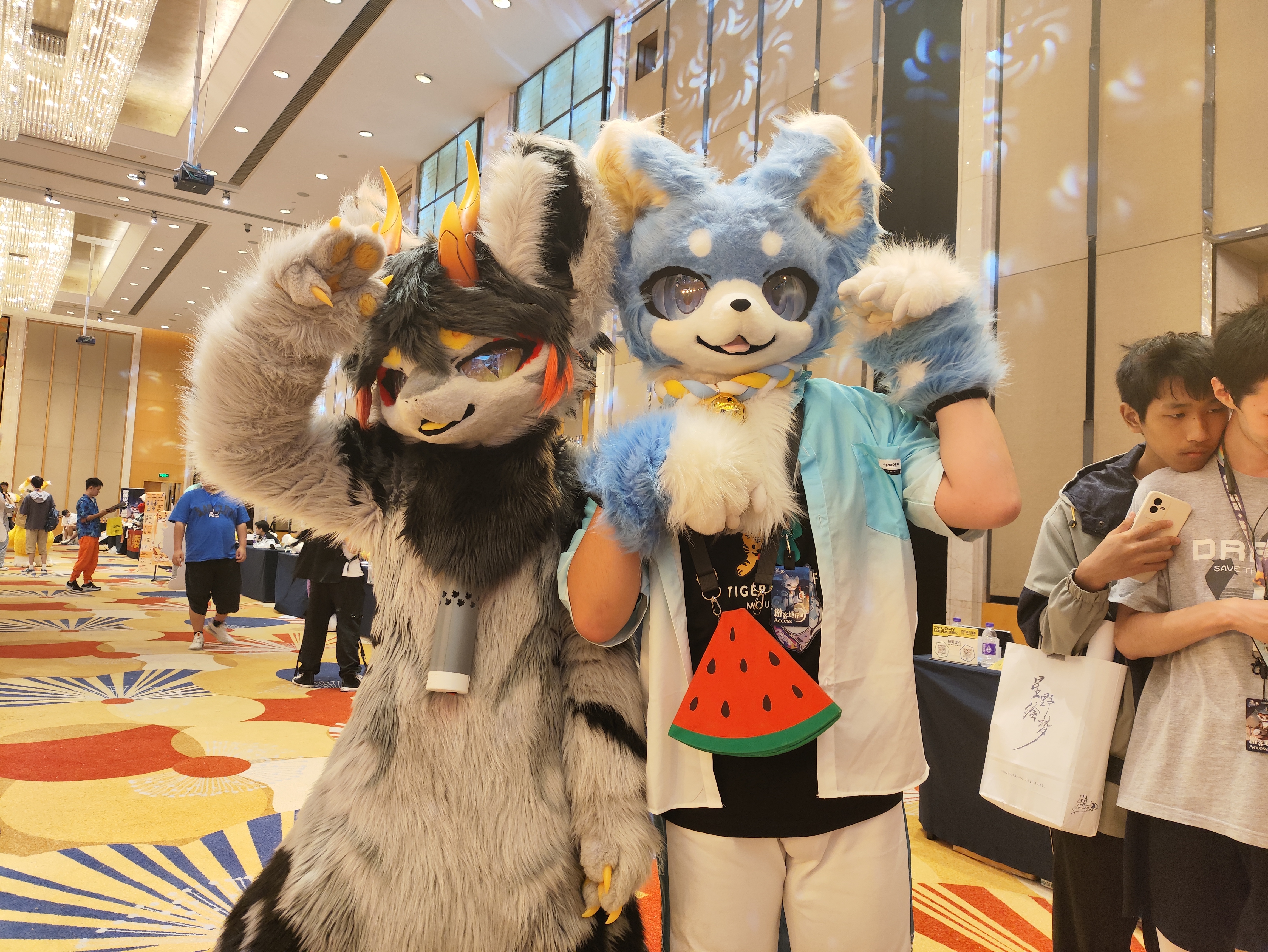 国庆的「你好兽聚 · 星野绘梦」还有被留在极兽聚的的帽子